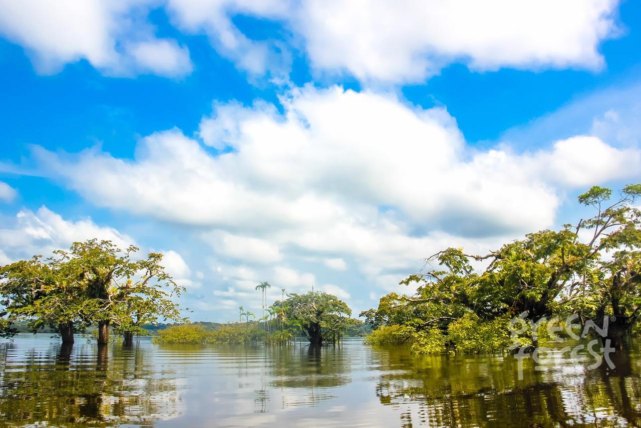 Green Forest Ecolodge Puerto Montufar 外观 照片