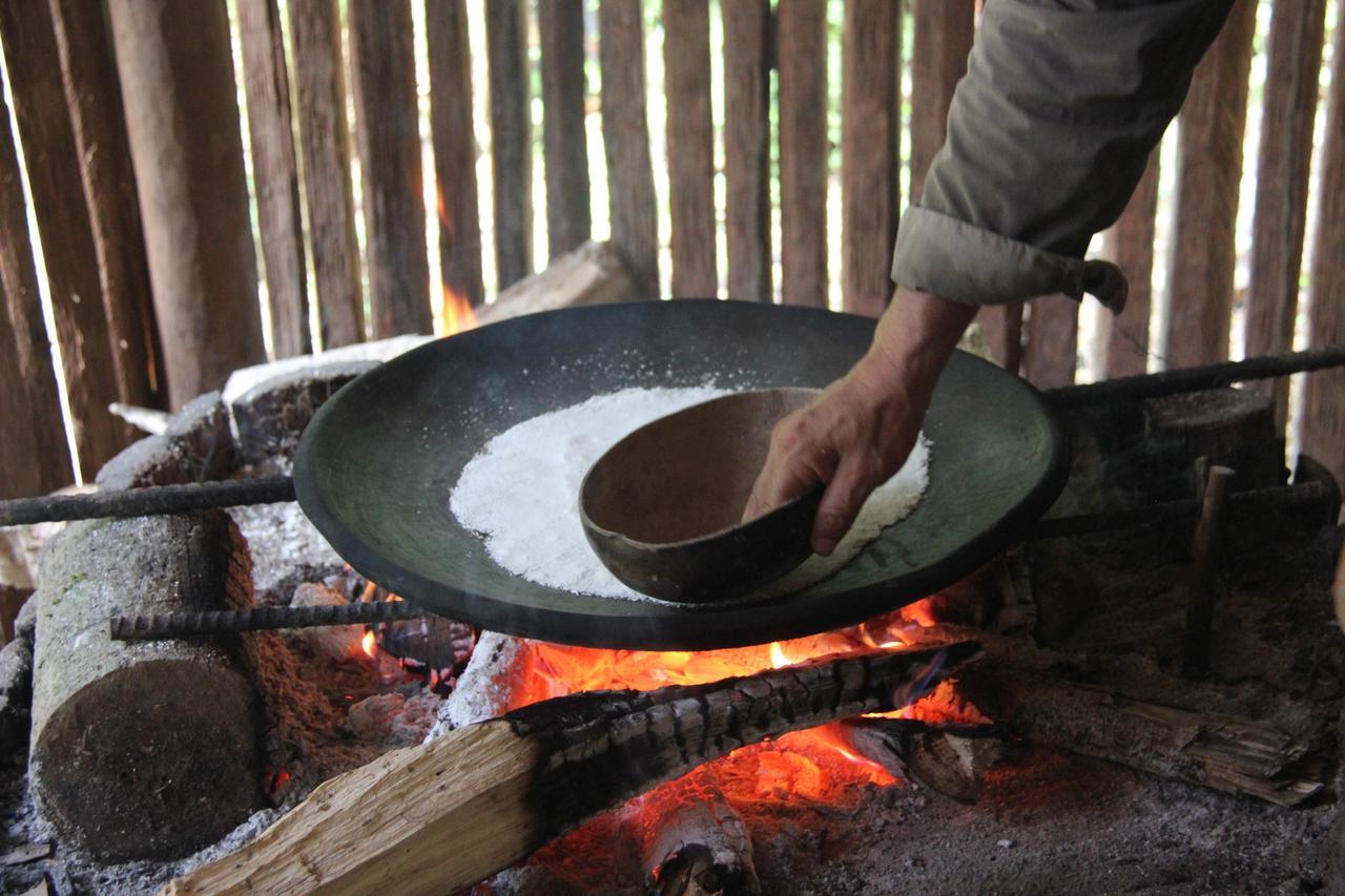 Green Forest Ecolodge Puerto Montufar 外观 照片