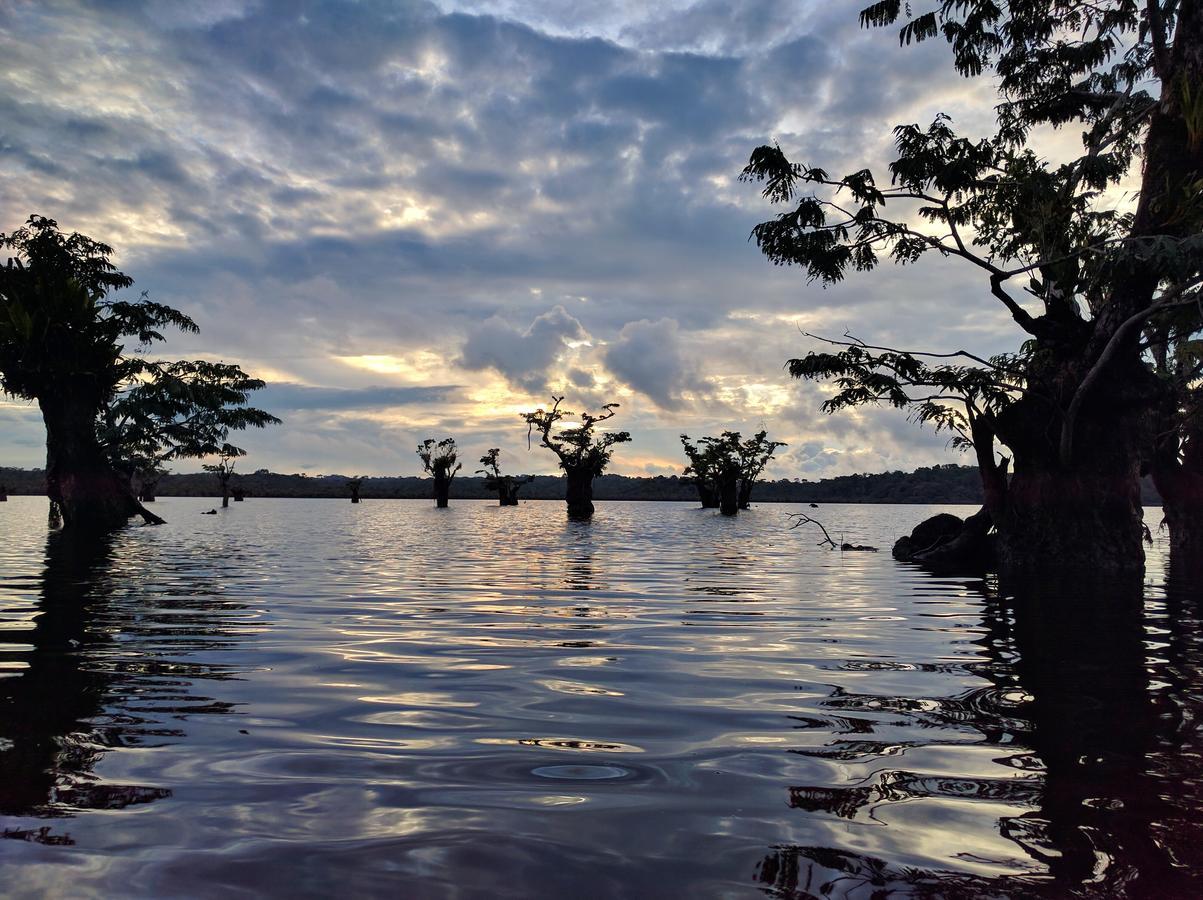 Green Forest Ecolodge Puerto Montufar 外观 照片