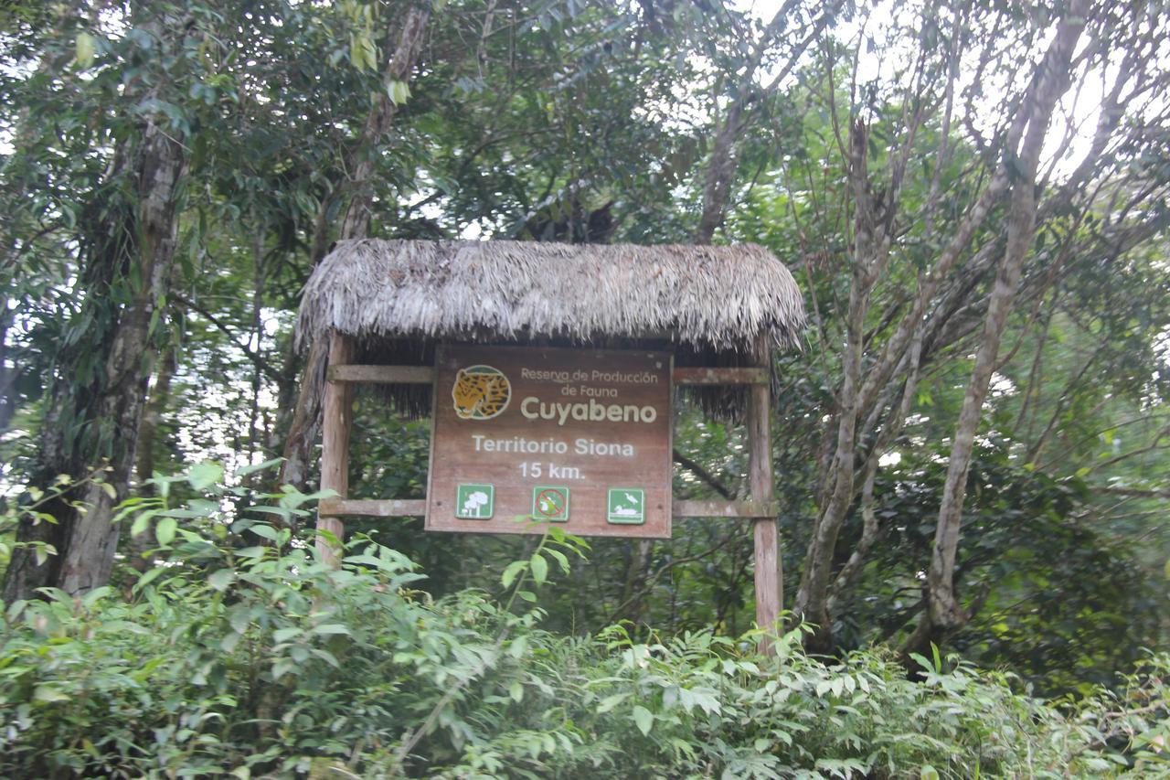Green Forest Ecolodge Puerto Montufar 外观 照片