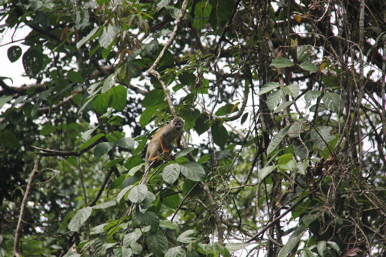 Green Forest Ecolodge Puerto Montufar 外观 照片